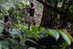 Pigmies Biya Regime Says No COVID-19 in Indigenous People Yet