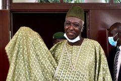 Mali: Designated interim president makes first public appearance