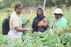 Rural Female Farmers Contribute More To Local Economy In Cameroon