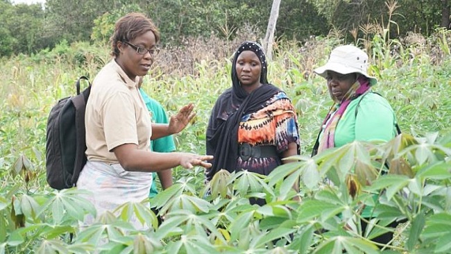 Rural Female Farmers Contribute More To Local Economy In Cameroon