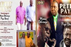 Spotlight on Miss Prestige Cameroon