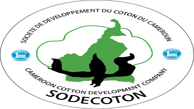 CPDM Crime Syndicate merges Sodecoton & Cicam to boost textiles