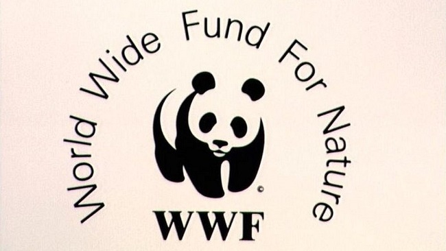 WWF Admits “Sorrow” Over Human Rights Abuses in Southern Cameroons