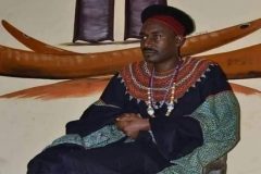 Southern Cameroons Crisis: Fon of Babanki in Amba drag-net