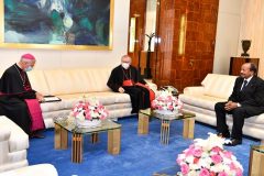 The Civil War in Cameroon and Pope Francis Emissary