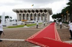 Who really pushed for the return of the Vice President of the Republic?