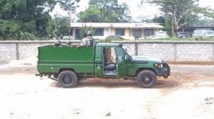 Ekok: Cameroon Customs steps up border crackdown