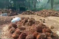 Ekondo Titi Biya Regime Ekondo Titi Attacks: Southern Cameroons socioeconomic crisis now at breaking point