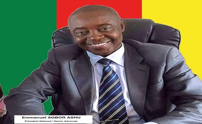 Of Barrister Emmanuel Agbor Ashu, attacks on the Interim Government and the Ambazonian people