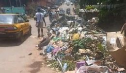 Etoudi fast-tracks urban upgrades as WTO Summit opens, Papal visit looms