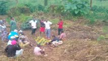 Armed Mbororo tribesmen killed 8 in Southern Cameroons’ new war