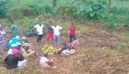 Armed Mbororo tribesmen killed 8 in Southern Cameroons’ new war