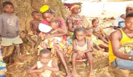 Food insecurity threatens 2.6 million Cameroonians outside conflict zones