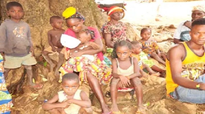 Food insecurity threatens 2.6 million Cameroonians outside conflict zones