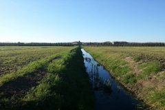 Logone Valley French Cameroun: World Bank approves $200M to support agricultural production in Logone Valley