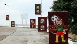 Africa Cup of Nations: Senegal, Guinea advance, Ghana going, going, gone