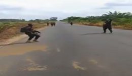 Papal Visit:  Southern Cameroons Restoration Forces declare three-day ceasefire