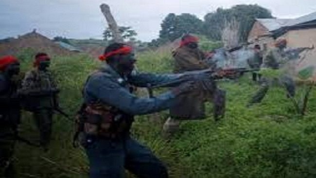 Taraba Biya regime says Amba fighters attack Mbororo ethnic community