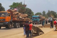 Cameroon truck drivers ask military to protect goods destined for CAR