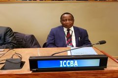 Southern Cameroons: Special Status Charade and Masquerade in Royal Regalia