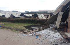 Southern Cameroons Crisis still disrupts healthcare despite decline in attacks