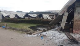 Southern Cameroons Crisis still disrupts healthcare despite decline in attacks
