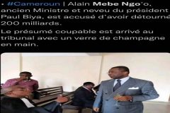 Mebo Ngo’o At a time of political darkness in Cameroon: It’s time for Southern Cameroonians to leave