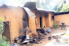 Army kills Southern Cameroons Crisis: Francophone soldiers kill 2 civilians in Bafut