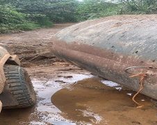 Southern Cameroons Crisis: Atanga Nji Boys abduct 8 people en route to Kumbo