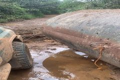 Southern Cameroons Crisis: Atanga Nji Boys abduct 8 people en route to Kumbo