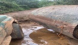 Southern Cameroons Crisis: Atanga Nji Boys abduct 8 people en route to Kumbo