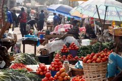 ECHO says 2.7 million in Cameroon could face food insecurity
