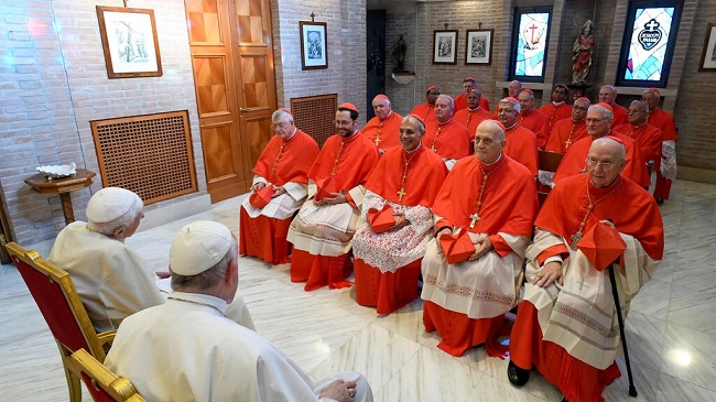 Pope Francis expands ranks of cardinals in charge of electing new church leader