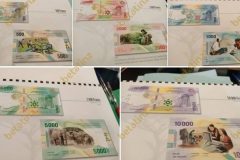 Beac new notes CPDM Crime Syndicate: Biya regime paid CFA37bn in salaries to underperforming directors