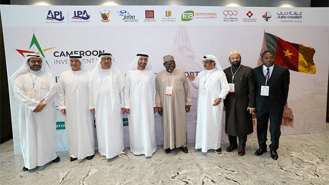 Biya regime explores new avenues of cooperation with UAE investors