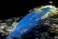 15 Cameroonians Missing as Boat Sinks Off Antigua