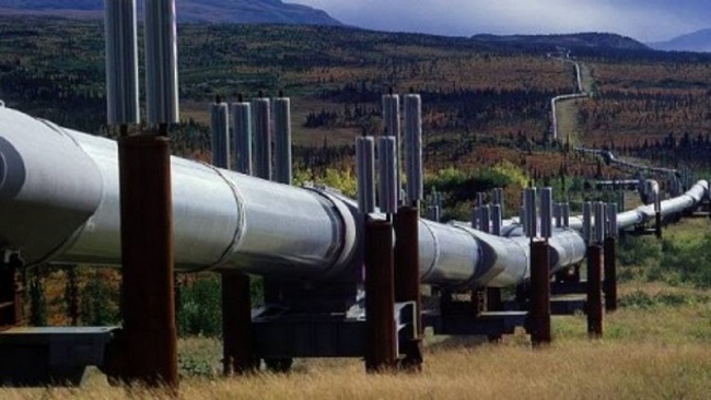 Chad-Cameroon Pipeline: Yaoundé and Ndjamena at daggers-drawn position