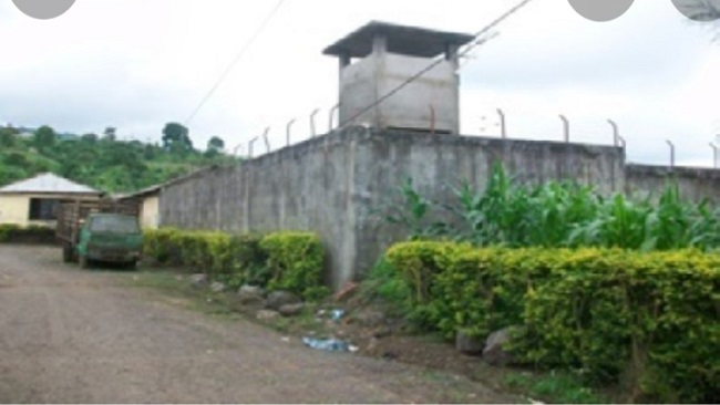 Buea prison conditions “Horrific”! Barrister Agbor Balla won’t talk