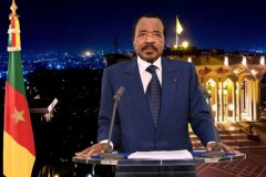 Biya regime secures $195 million loan to expand national fiber backbone