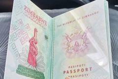Zimbabwe e-passport Zimbabwe: Cameroonians fined for illegal birth certificates