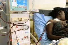 Yaoundé plans new law on organ donation as dialysis cases reach 2.5 million
