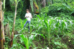 Adamawa: How an American NGO is improving rural farmers’ access to modern agricultural technology