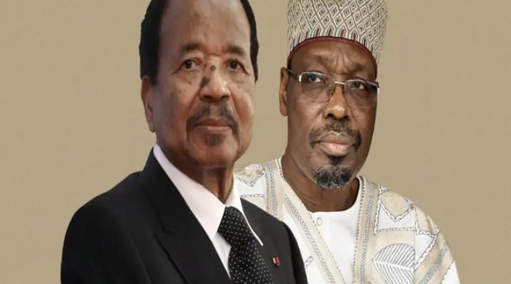 Yaoundé: Biya to get a deputy for first time in 43-year rule