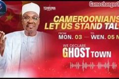 Issa Issa Tchiroma is now under Nigeria security protection in Yola