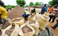 Francophone officials tighten controls to curb cocoa exports to Nigeria in the South West