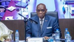 Yaoundé grants traditional chiefs power to issue provisional land certificates