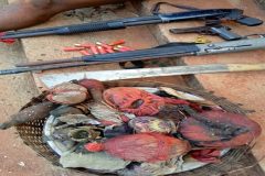 Murder of 3 Cameroonians: Nigeria police arrest shrine chief priest, 3 others