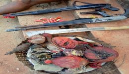 Murder of 3 Cameroonians: Nigeria police arrest shrine chief priest, 3 others