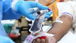 Cameroon struggles with chronic blood shortage despite policy efforts