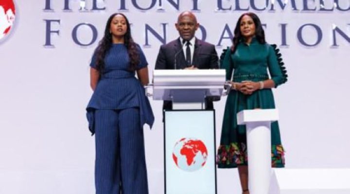 13 Cameroonians selected for the 2026 cohort of Tony Elumelu Foundation Program